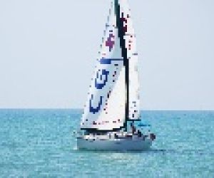 Empresa Taz Sailing