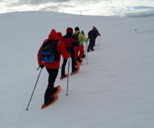 Empresa Activitats Cerdanya