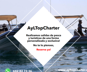 Empresa AYL TOP CHARTER