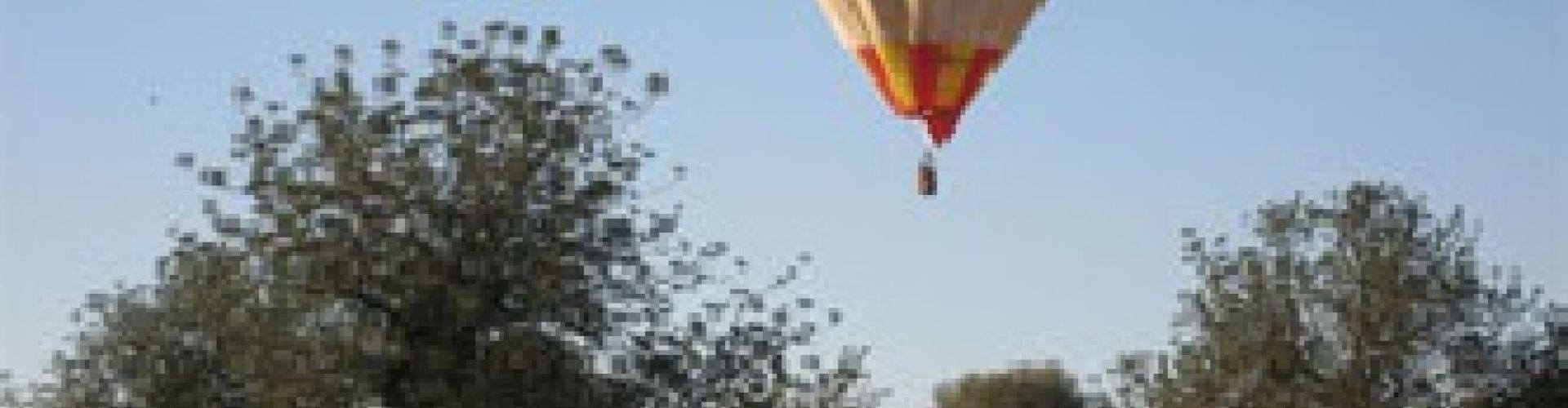 Ven a volar con nosotros