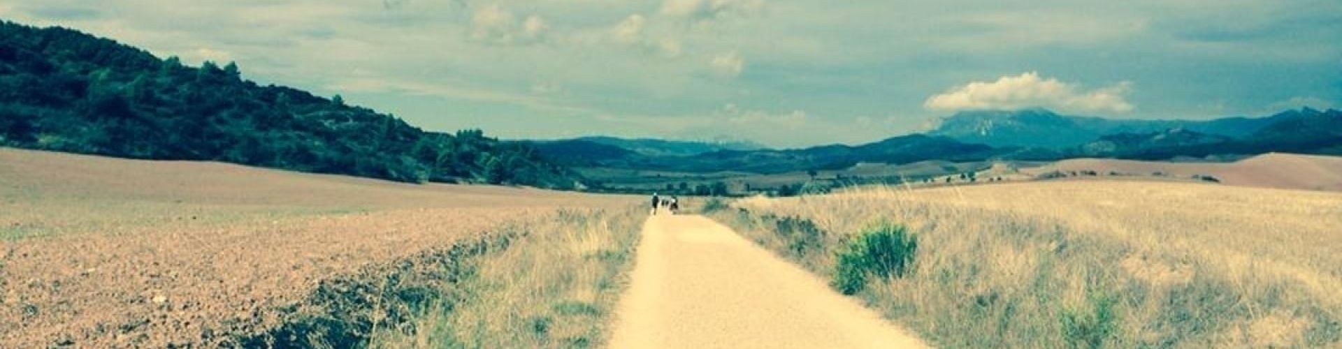 El Camino de Santiago