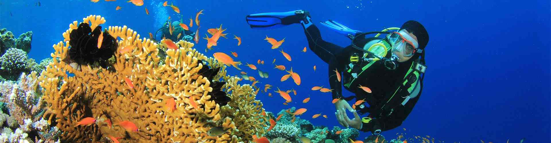 Buceo en la Metropolitana de Almería