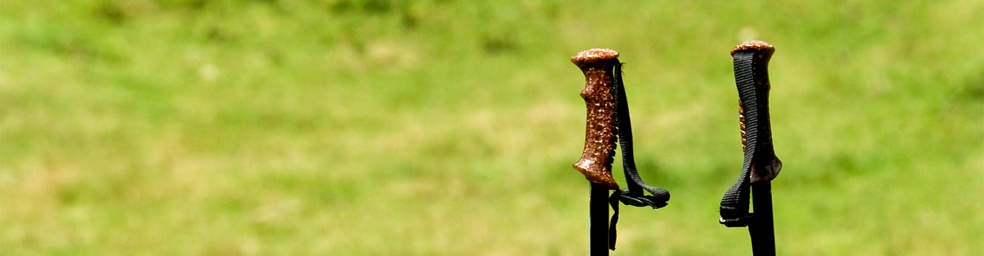 Nordic walking en Rábanos