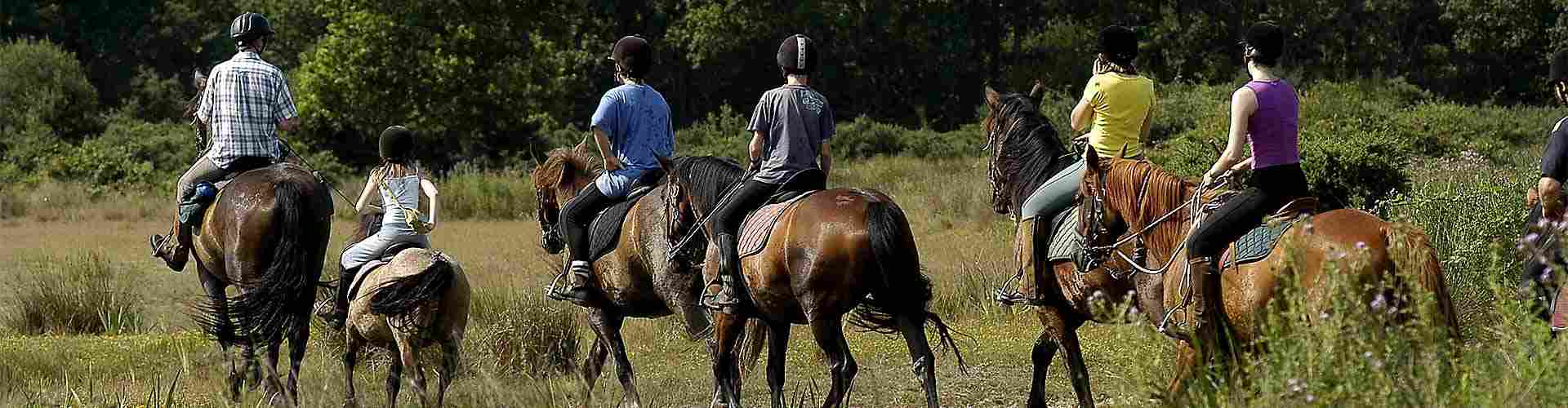 Paseos en caballo en La Loma del Viento