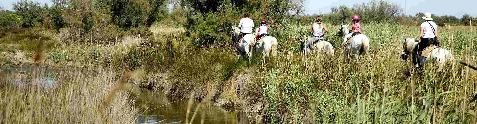 Paseos en caballo en Mentera Barruelo