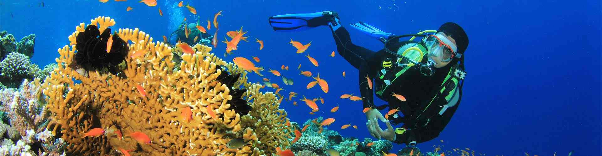 Submarinismo en San Xoán Paramos