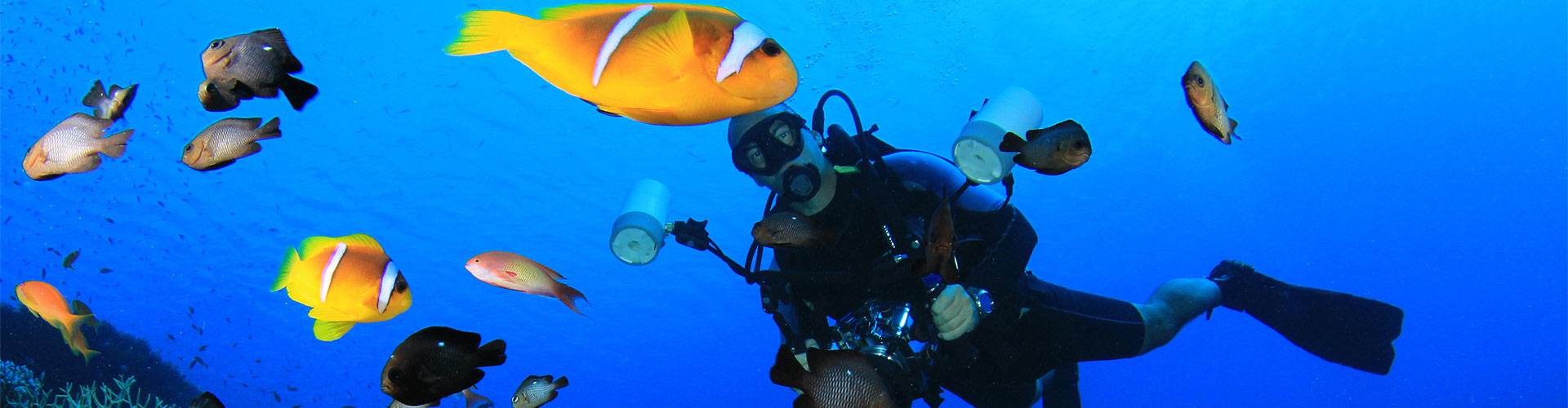 Submarinismo en Yécora