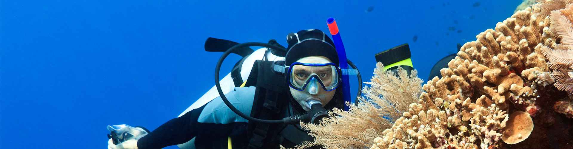 Submarinismo en El Saladar