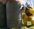 Paintball Jaca - Empresa en Jaca