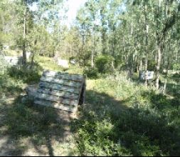 Paintball zonas de bosque