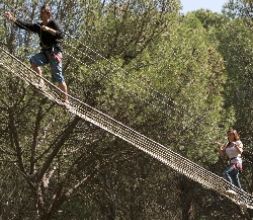 CIRCUITO JUNGLA. JÓVENES Y ADULTOS