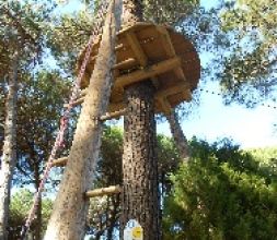 CIRCUITO JUNGLA. JÓVENES Y ADULTOS