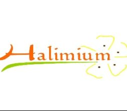 Halimium Andalucía