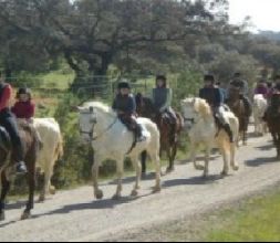 Rutas y excursiones a caballo