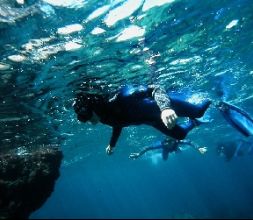 Snorkeling Illes Medes