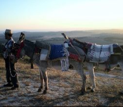 Paseos en burro por Cádiz