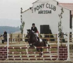 Pony Club Añezcar