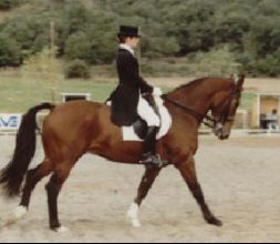 Escuela de equitación en Navarra