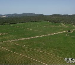 Aeródromo Amadeo Vives en Igualada