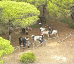 A caballo por el pinar la Breña