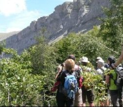 Transpirenaica: senderismo Pireneos