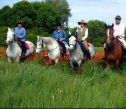 Rutas a caballo