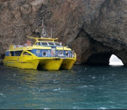 NAUTILUS EN ROCA FORADADA