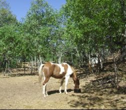 Horses Gredos Club Deportivo