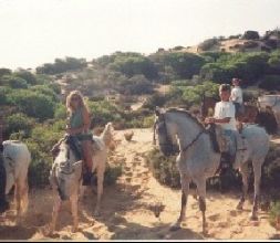 Rutas a caballo parque  de Doñana