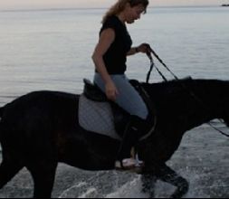 Rutas por Menorca a caballo