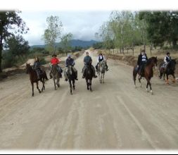 Cordel de Los Llanos