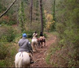 Camino de Poyales