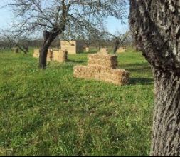 Campo de Paintball en Palma