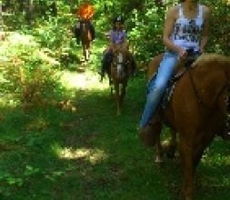 Caballos en el ecoparque