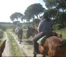 Paseos a caballo