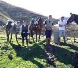 Paseos a caballo