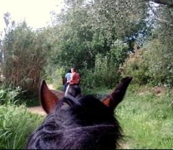 La jungla fluvial, ideal a caballo...