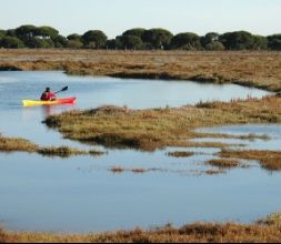 El laberinto de la marisma en kayak