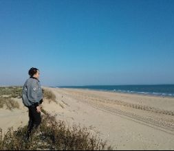 Dunas en la Flecha de El Rompido