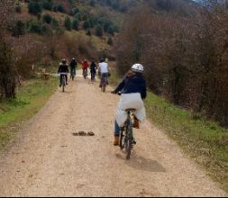 Alquiler y rutas en bicicleta