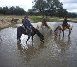 abrevando a los caballos