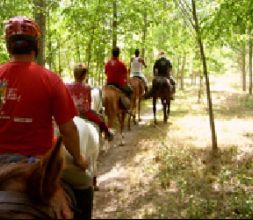 Rutas a caballo