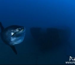 Cursos de buceo Roquetas de mar y agua