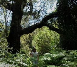 No es Jurassic Park: es Selva de Espadán