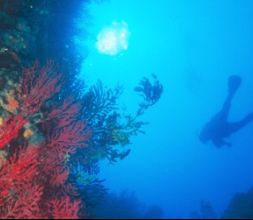 Buceo en las Islas Medas