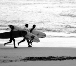 SURF 