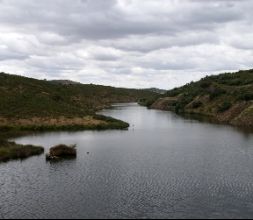 Kayaks,.. en el Embalse de San Vicente