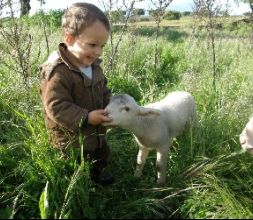 Actividades de agroturismo