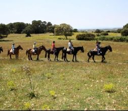 Excursiones a caballo por Menorca