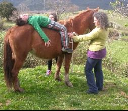 Actividades con caballos para familias